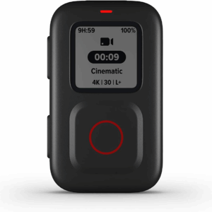 the Remote - Official  Accessory